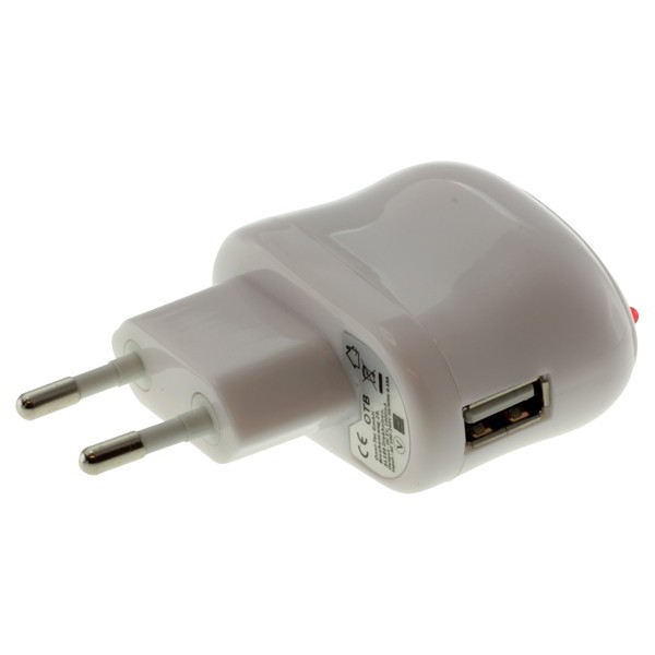 USB Ladeadapter (100-250V) mit USB-Buchse