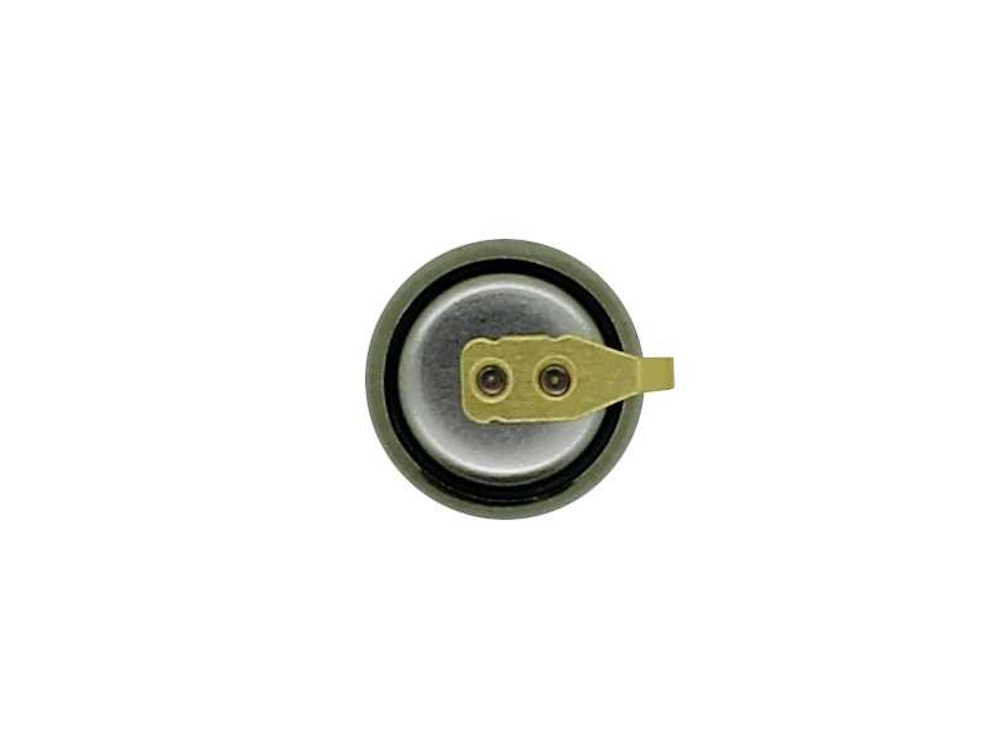24010017 Kondensator für Citizen CT295.753 CTL621F